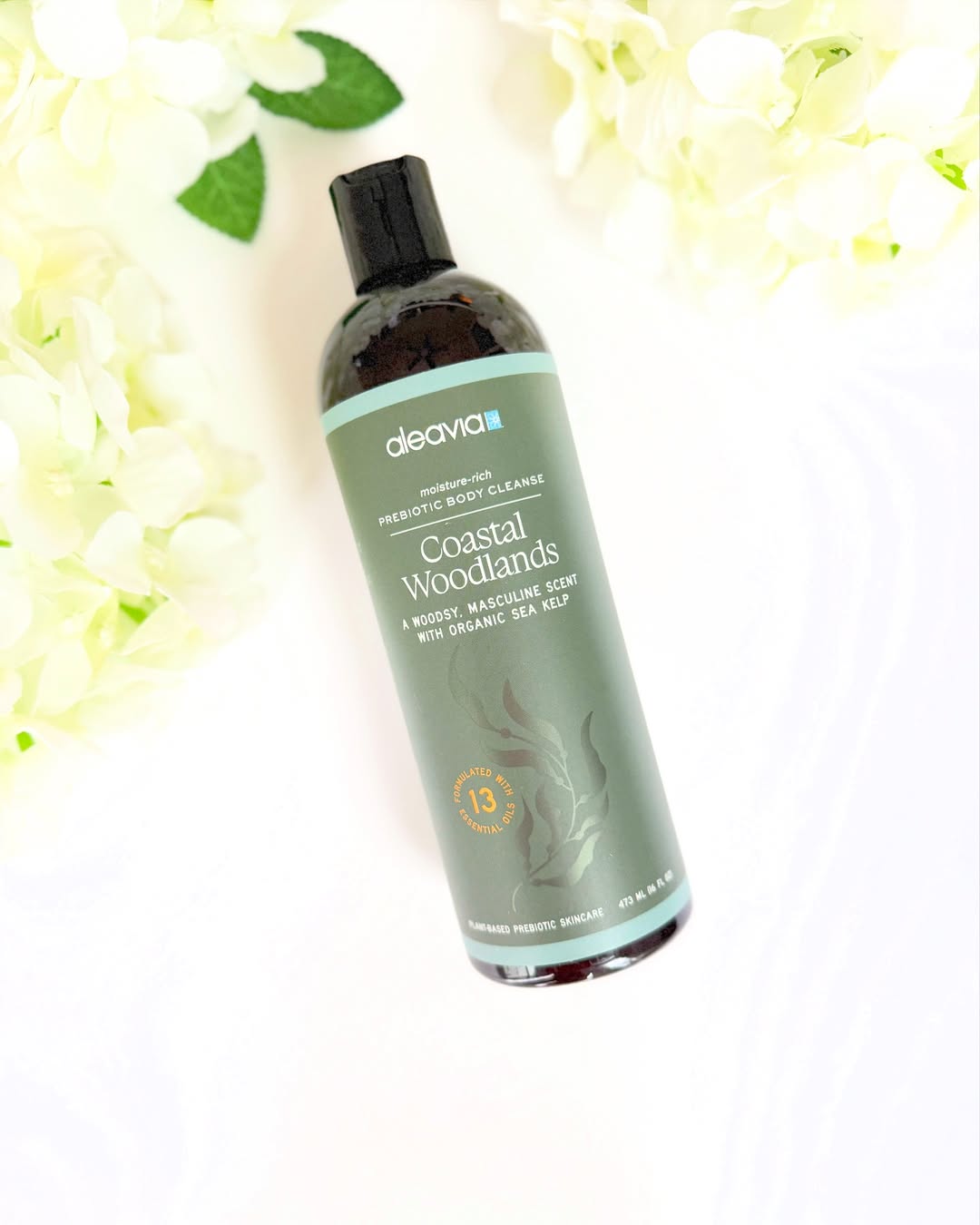 Aleavia Coastal Woodlands Mens Body Cleanse review and promo code, certified organic body wash for men