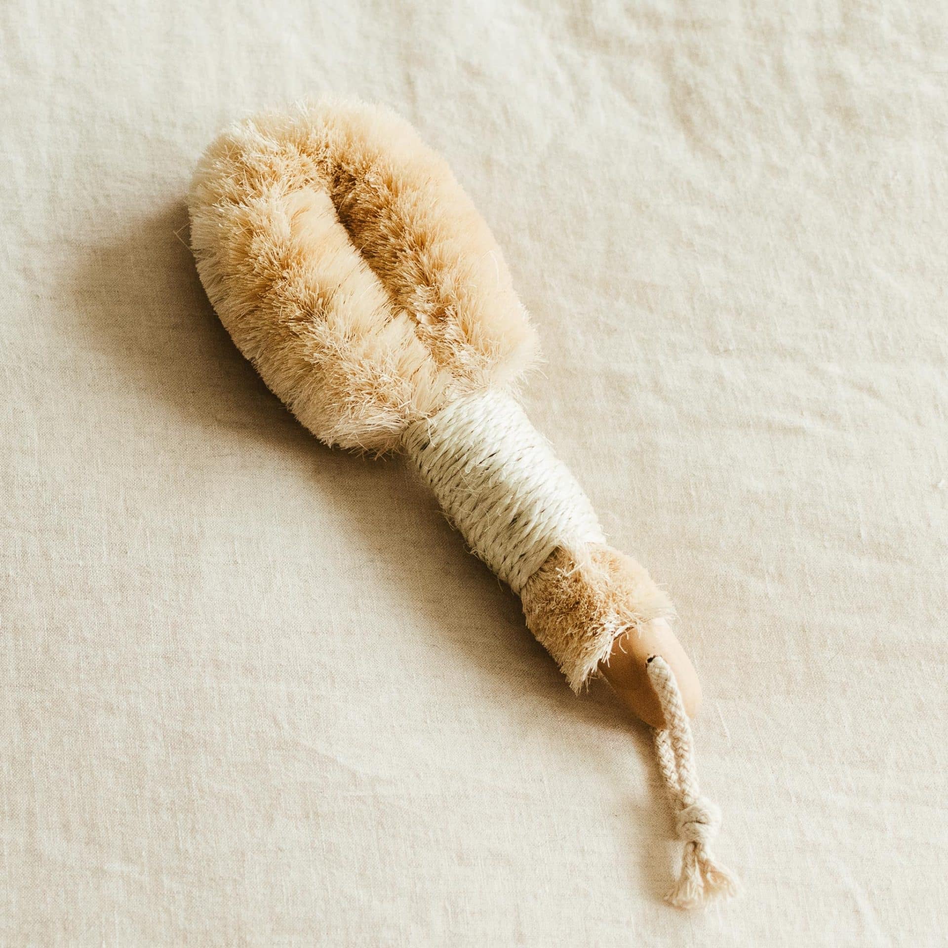 Annmarie organic dry body brush review and promo code