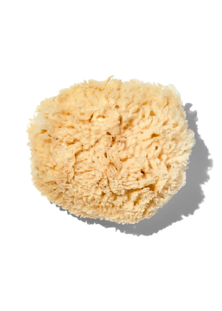 California Baby Organic large sponge, Natural, organic baby bath sea sponge
