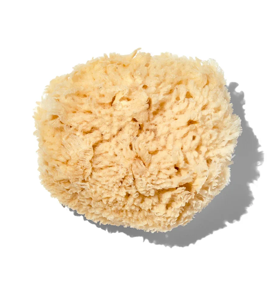 California Baby Organic large sponge, Natural, organic baby bath sea sponge