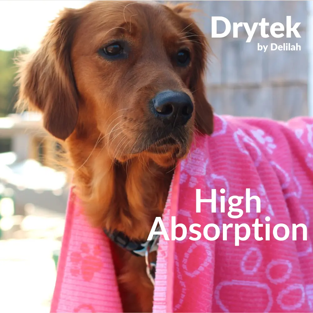Delilah Home Organic Dog Towel review and promo code