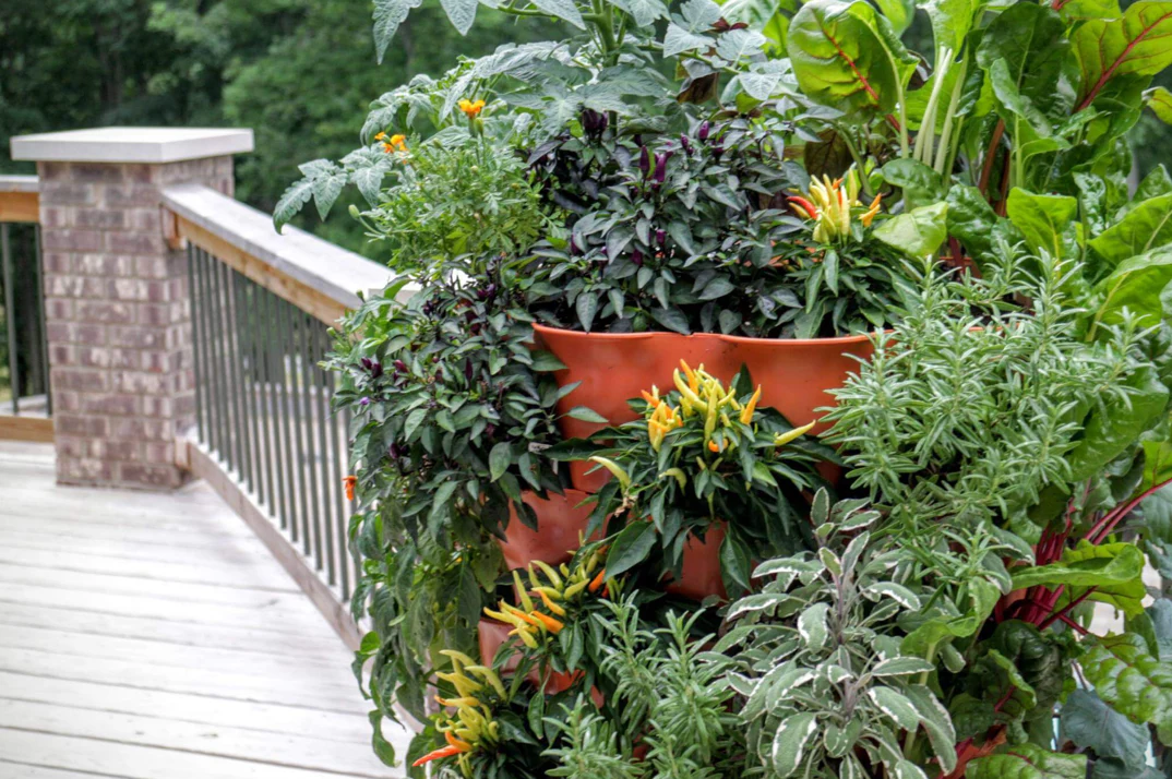 Garden Tower Project, organic farm stand