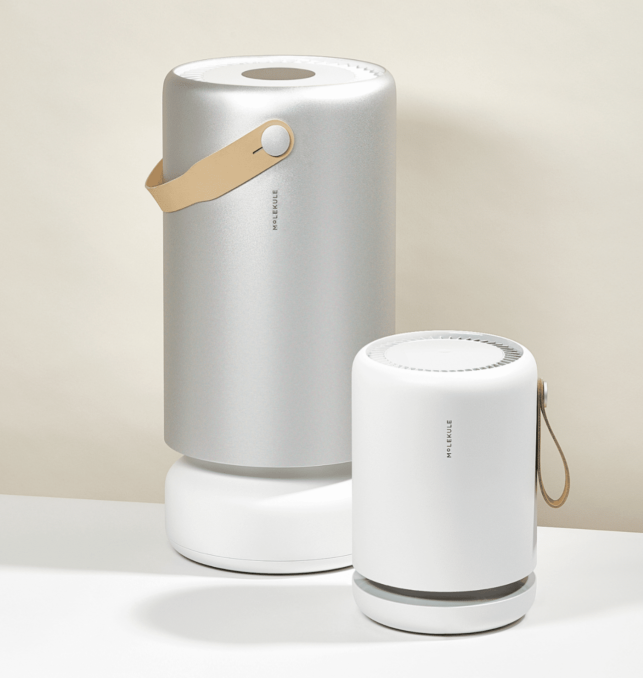 Molekule Air Purifier promo code