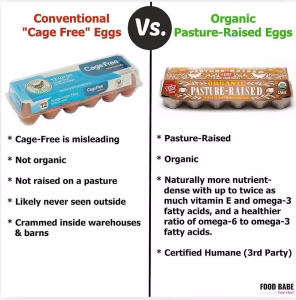 Organic eggs