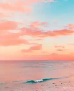 Pink ocean perfume