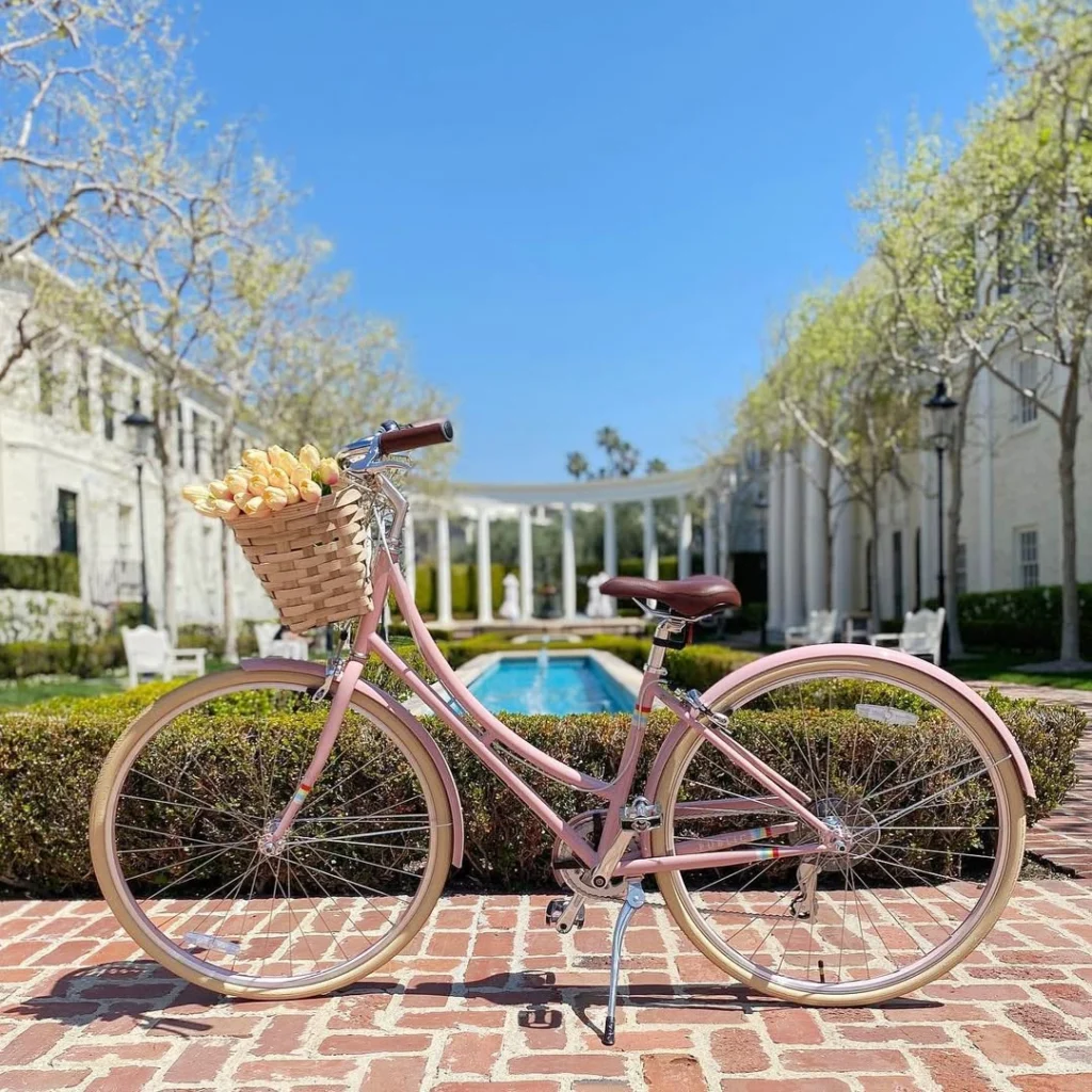 Public Bike