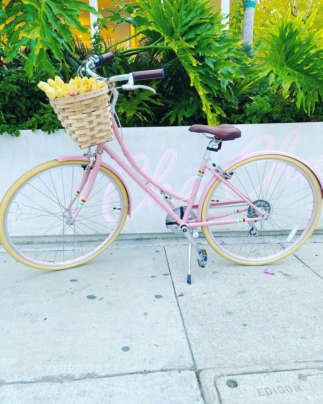 Public Bike Pink Bike review