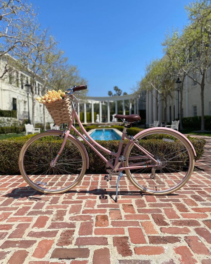 Public Bike house review