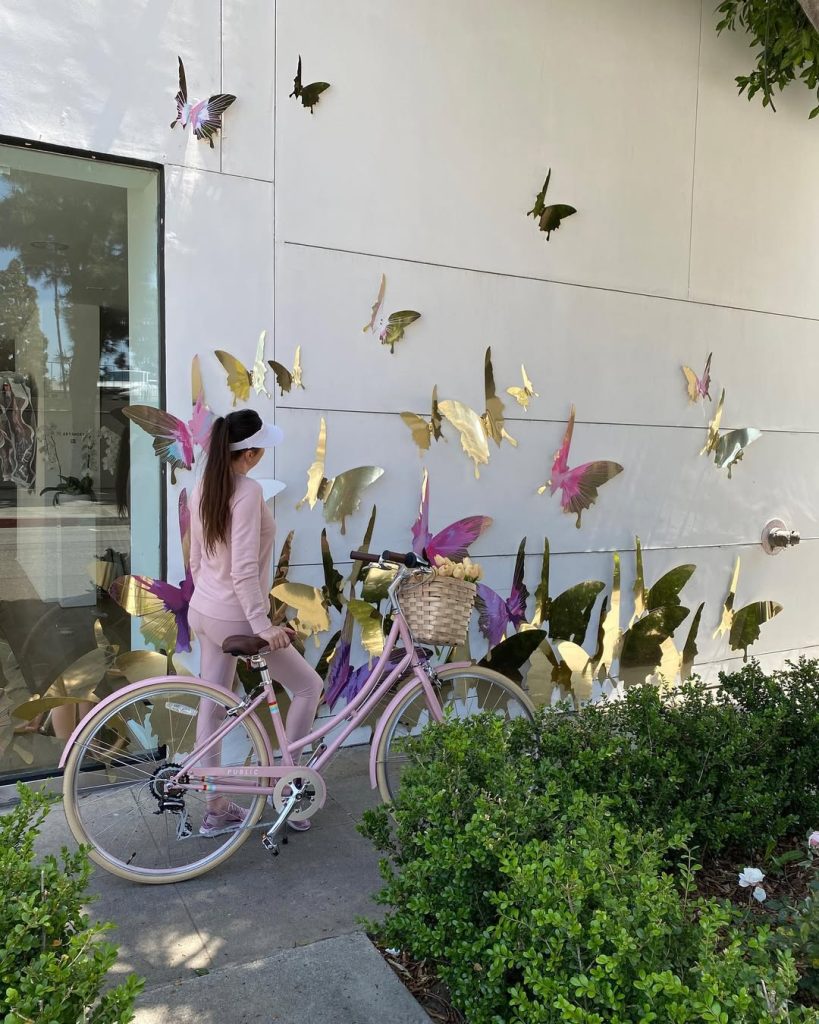 Public Bikes Butterfly