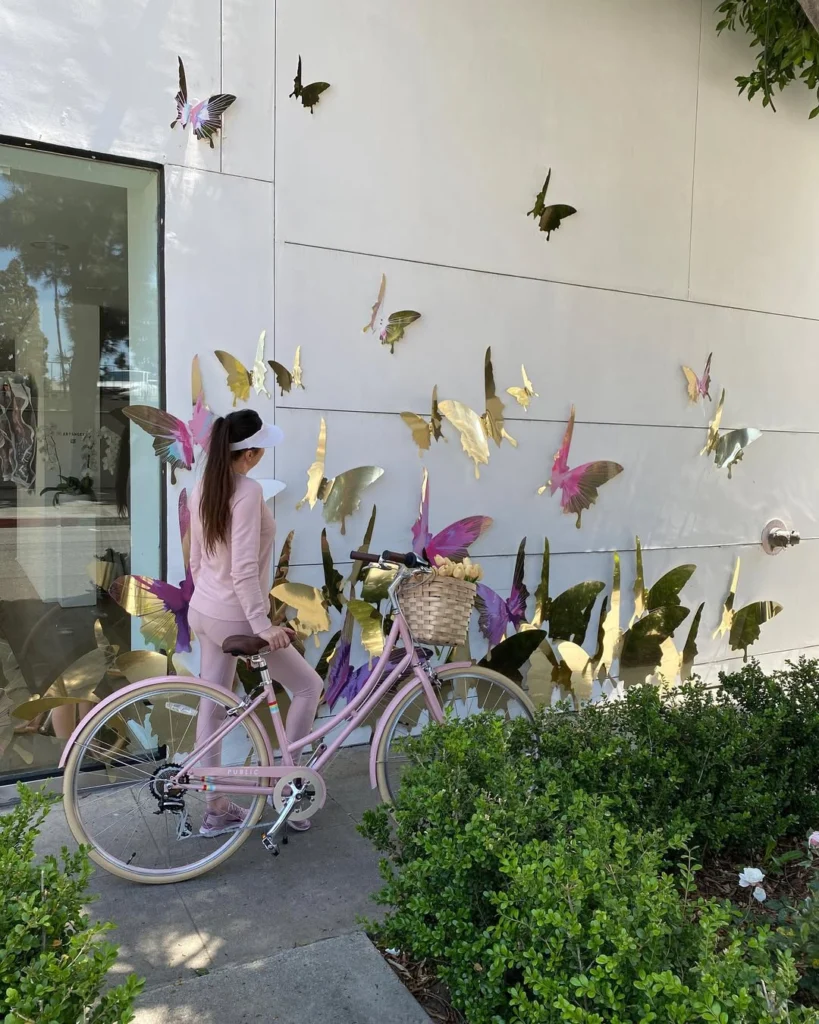 Public Bikes Butterfly