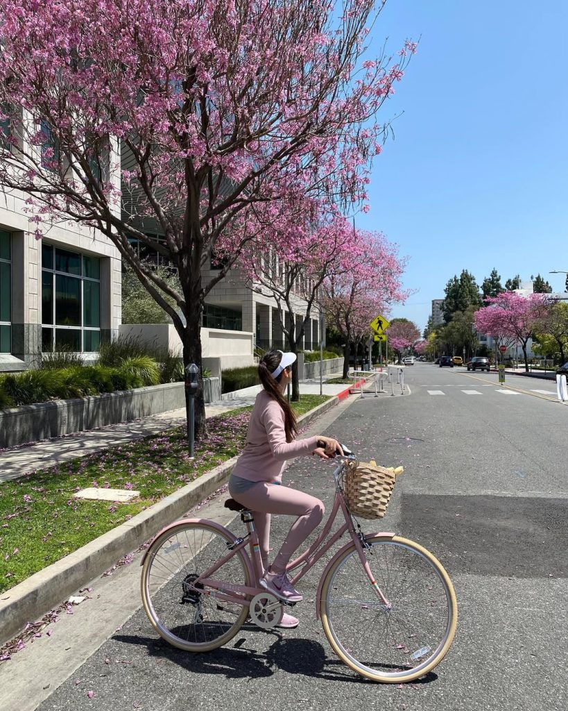 Public Bikes spring