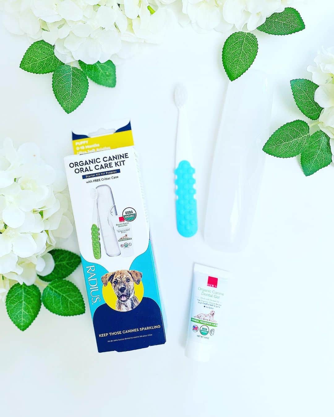 Radius pet oral care, organic dog toothpaste