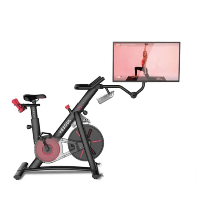 Indoor Bike