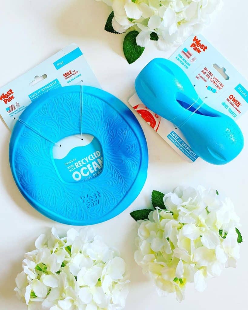 West Paw Sailz Organic Doggie non-toxic frisbee review and promo code