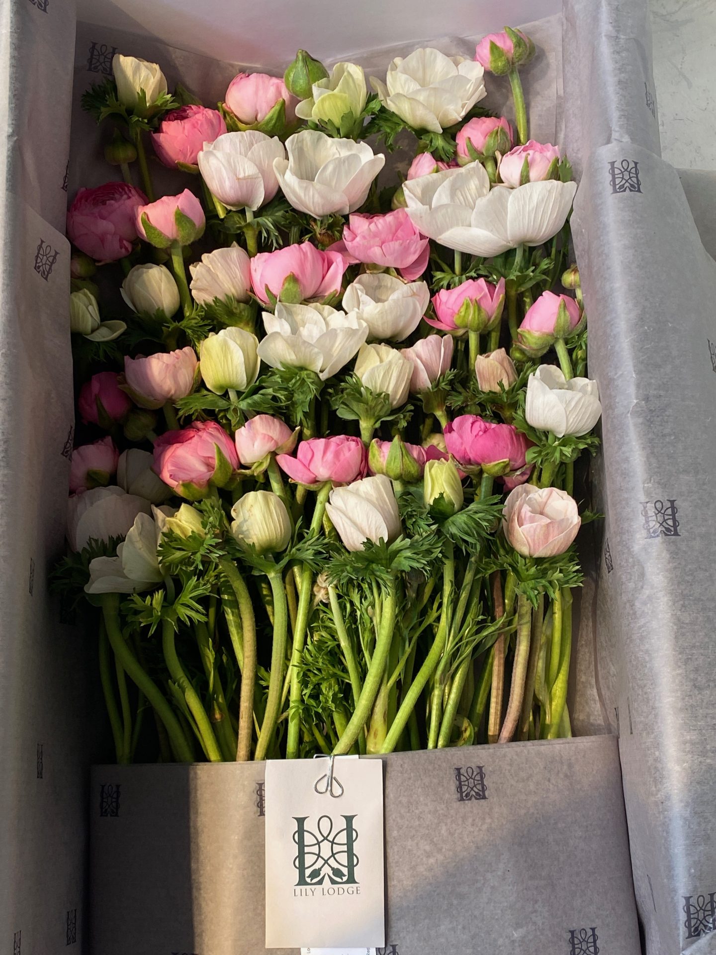 organic flowers Los Angeles