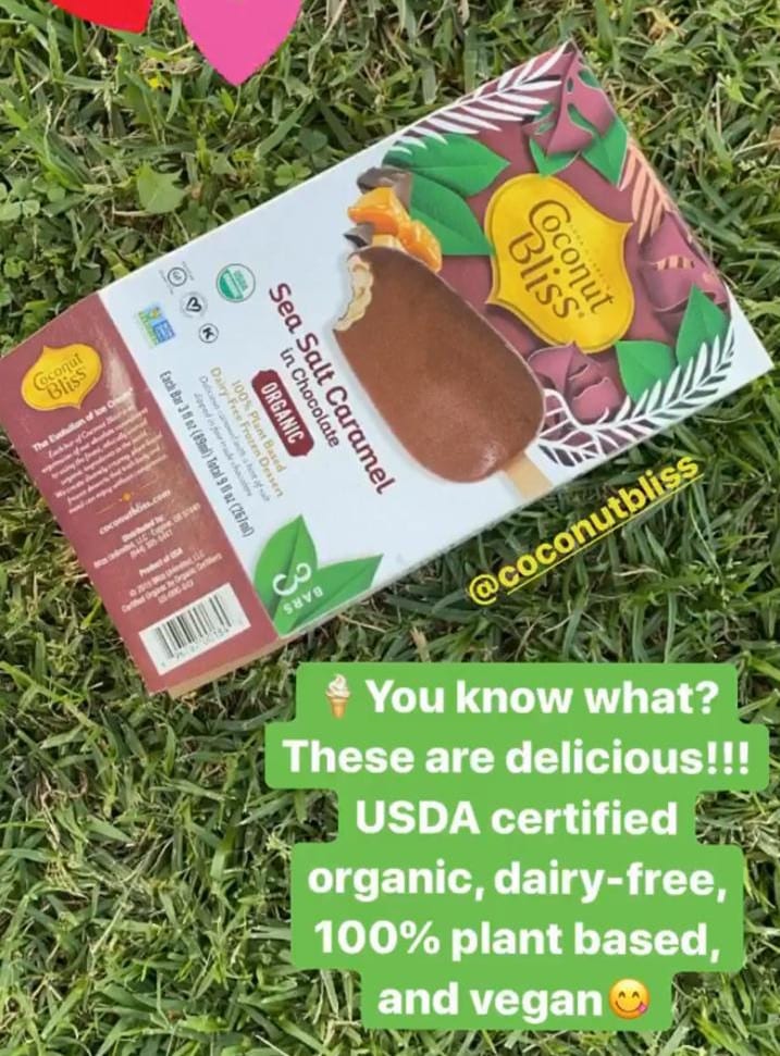 organic plant based ice cream