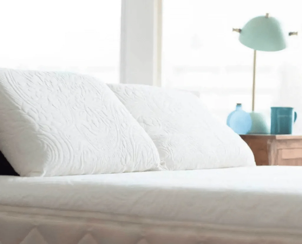 Happsy GOTS Certified Organic Pillows