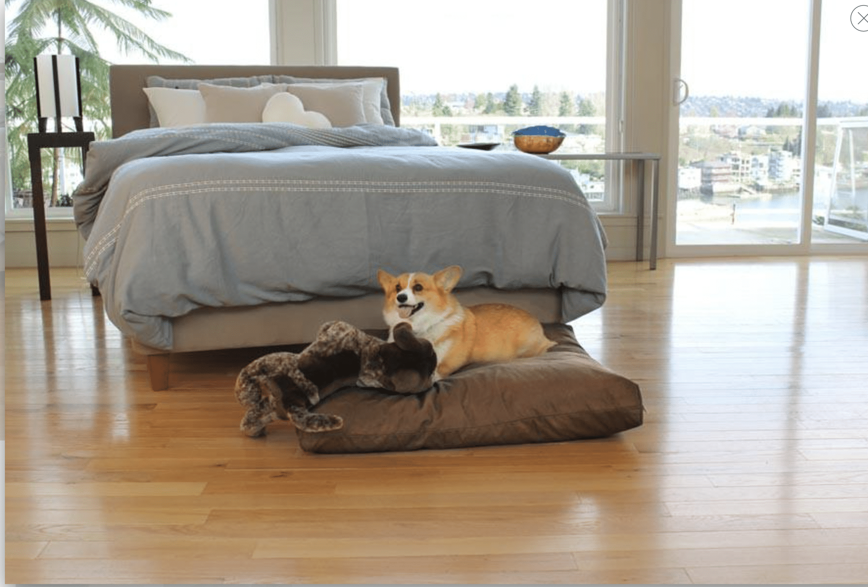 Soaring Heart Organic Doggie Dreams