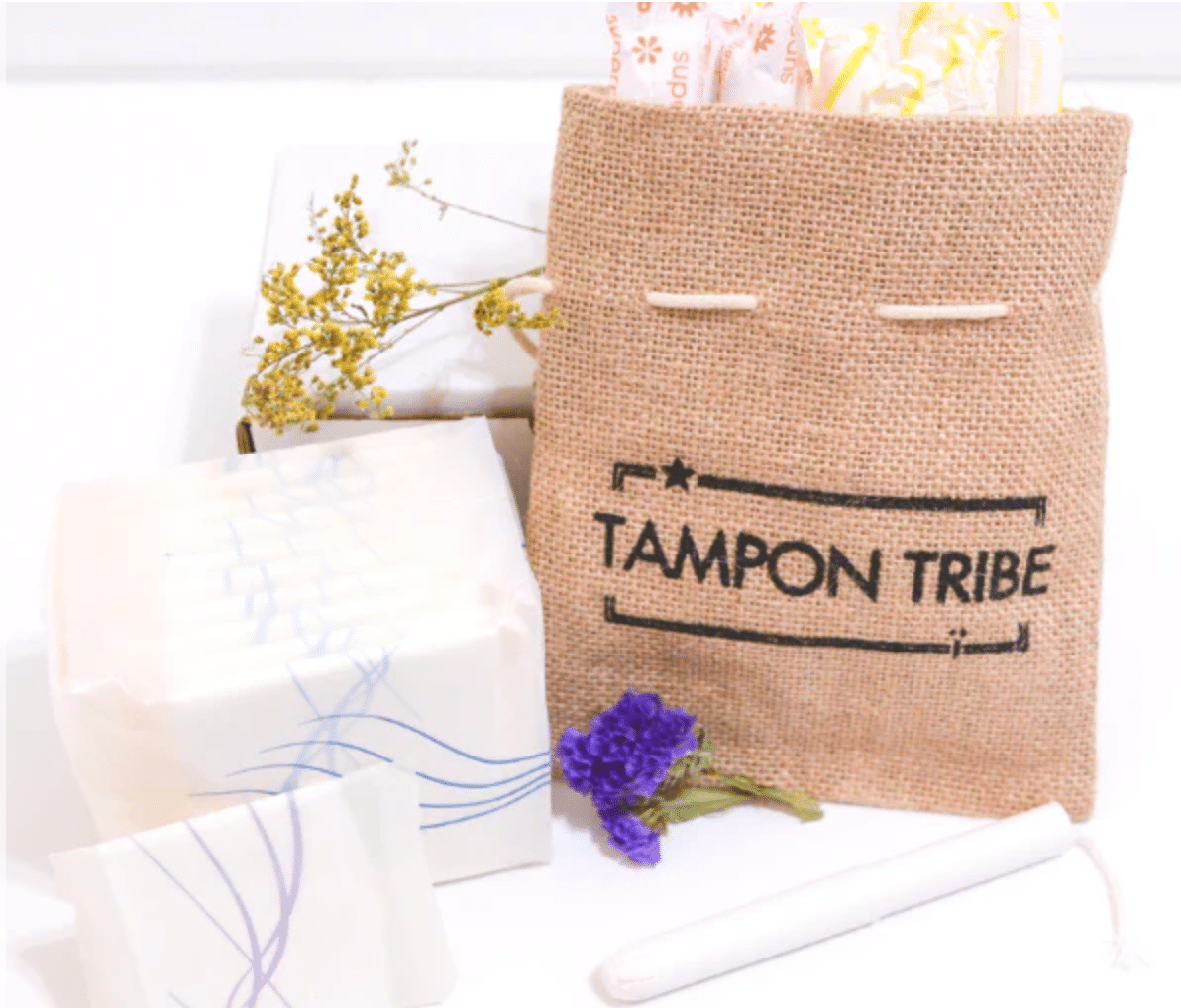 Tampon Tribe Organic Pads review and promo code