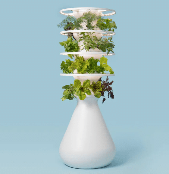 organic farmstand