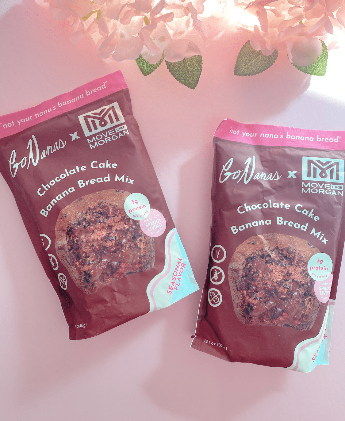 GoNanas x Sprout Living Chocolate Banana Bread Mix review and promo code