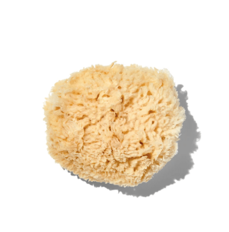 Natural, organic baby bath sea sponge