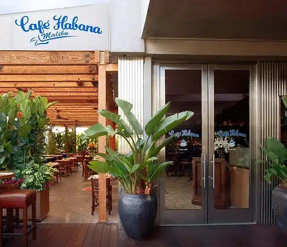 Cafe Habana Malibu Organic Beef