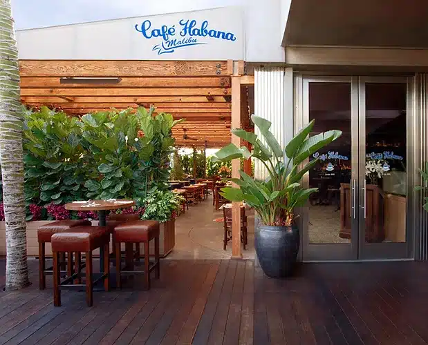 Cafe Habana, Malibu