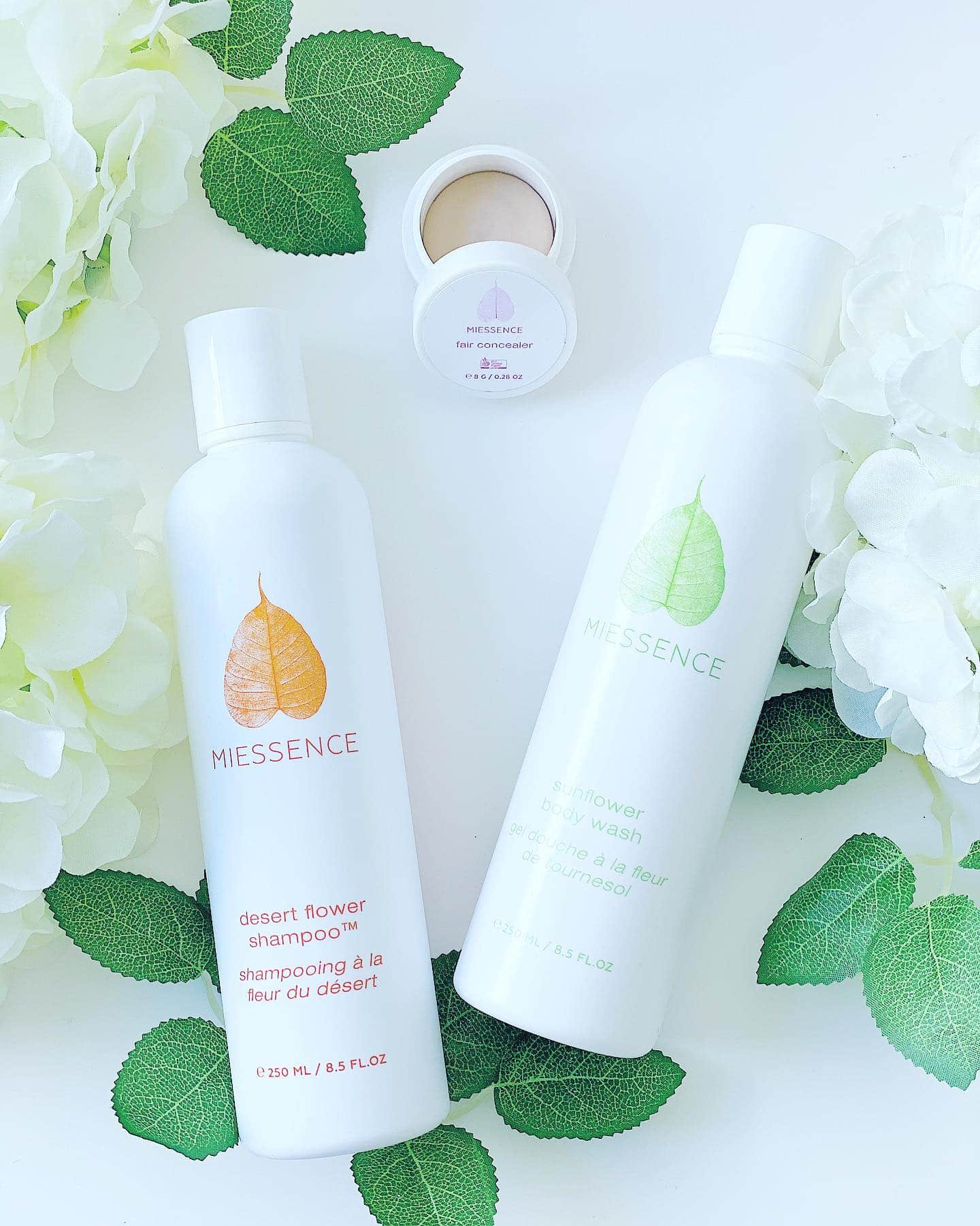 Miessence Sign Up link
