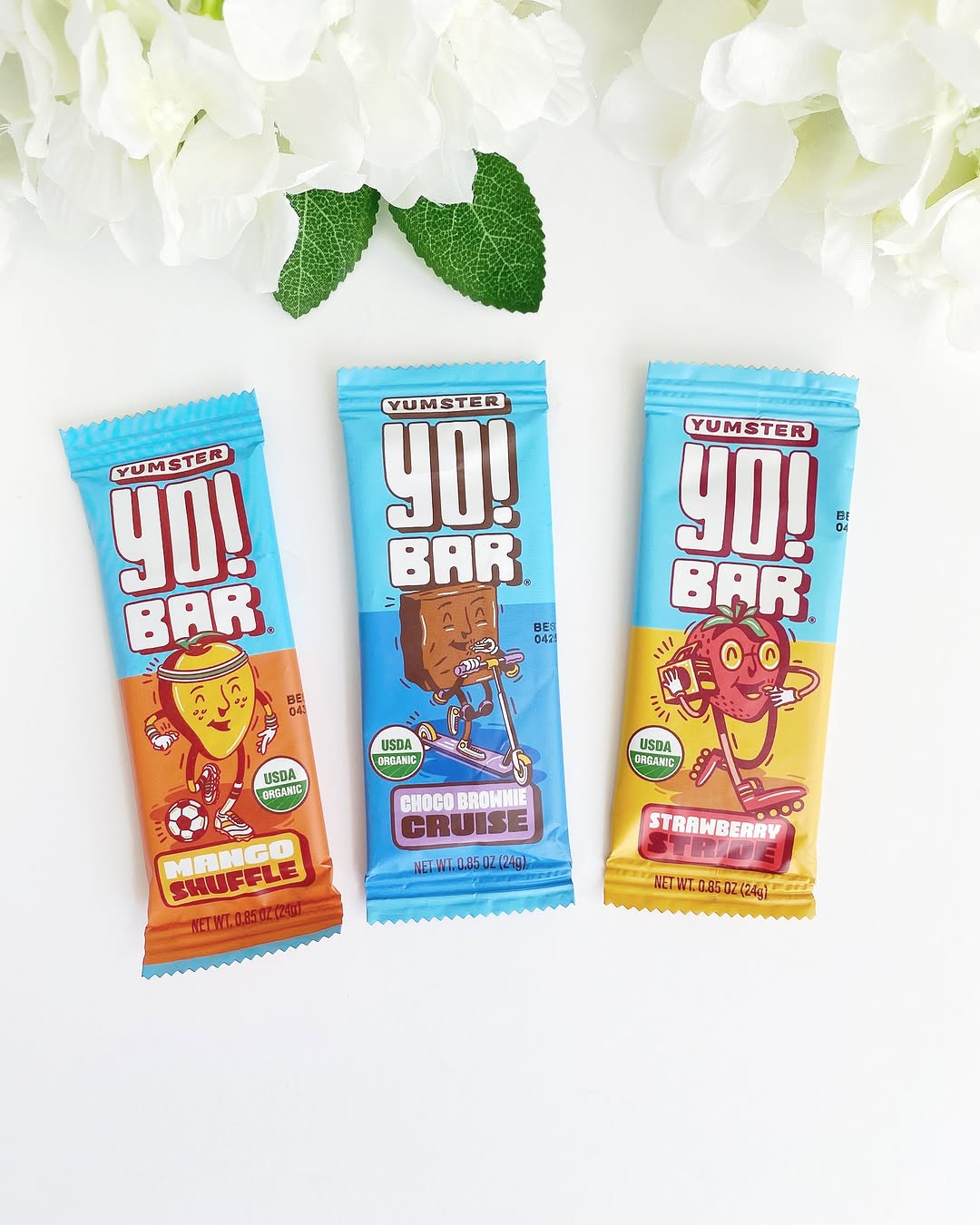 Bearded Brothers Kids food bars review and promo code