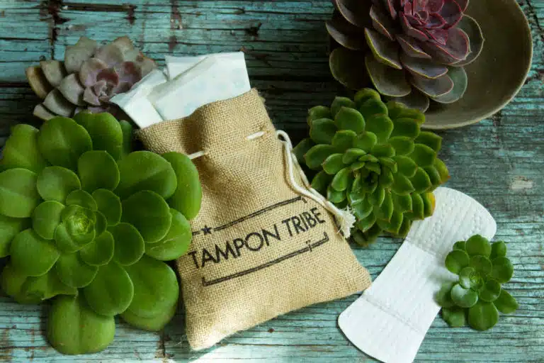 Tampon Tribe organic Pantyliner review and promo code