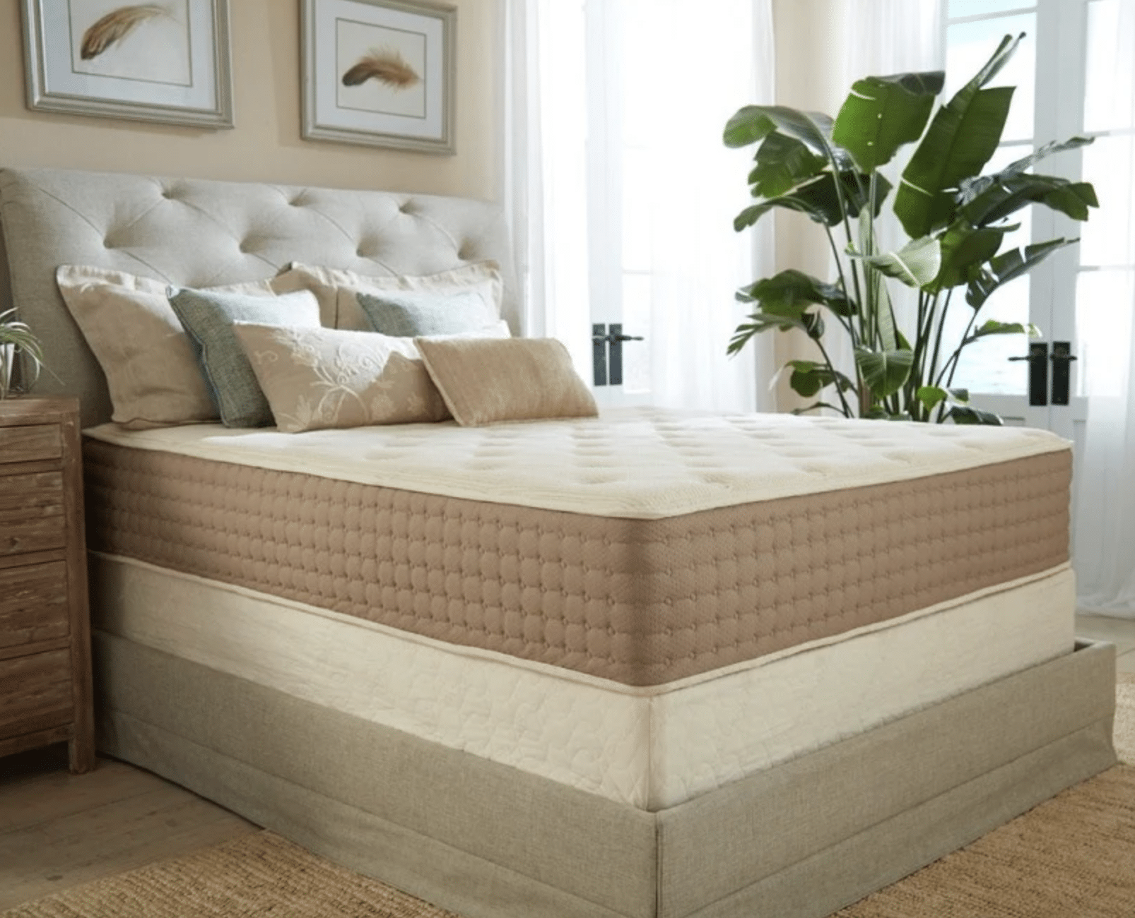 Eco Terra GOTS & GOLS Certified Organic Mattress review and promo code