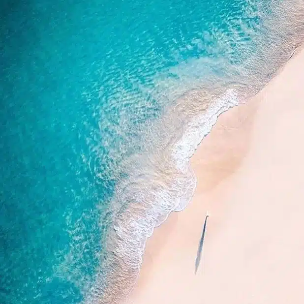 World Ocean Day Support