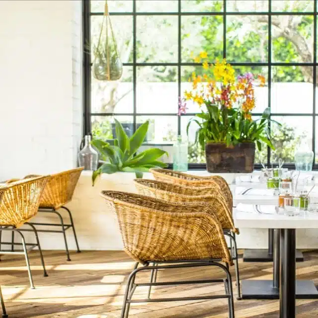 Gracias Madre in West Hollywood, review