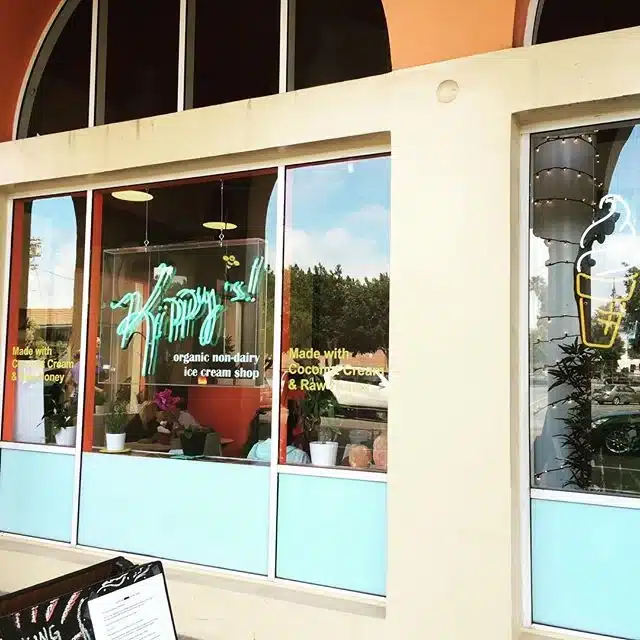 Kippy's Non-dairy Organic Ice-cream