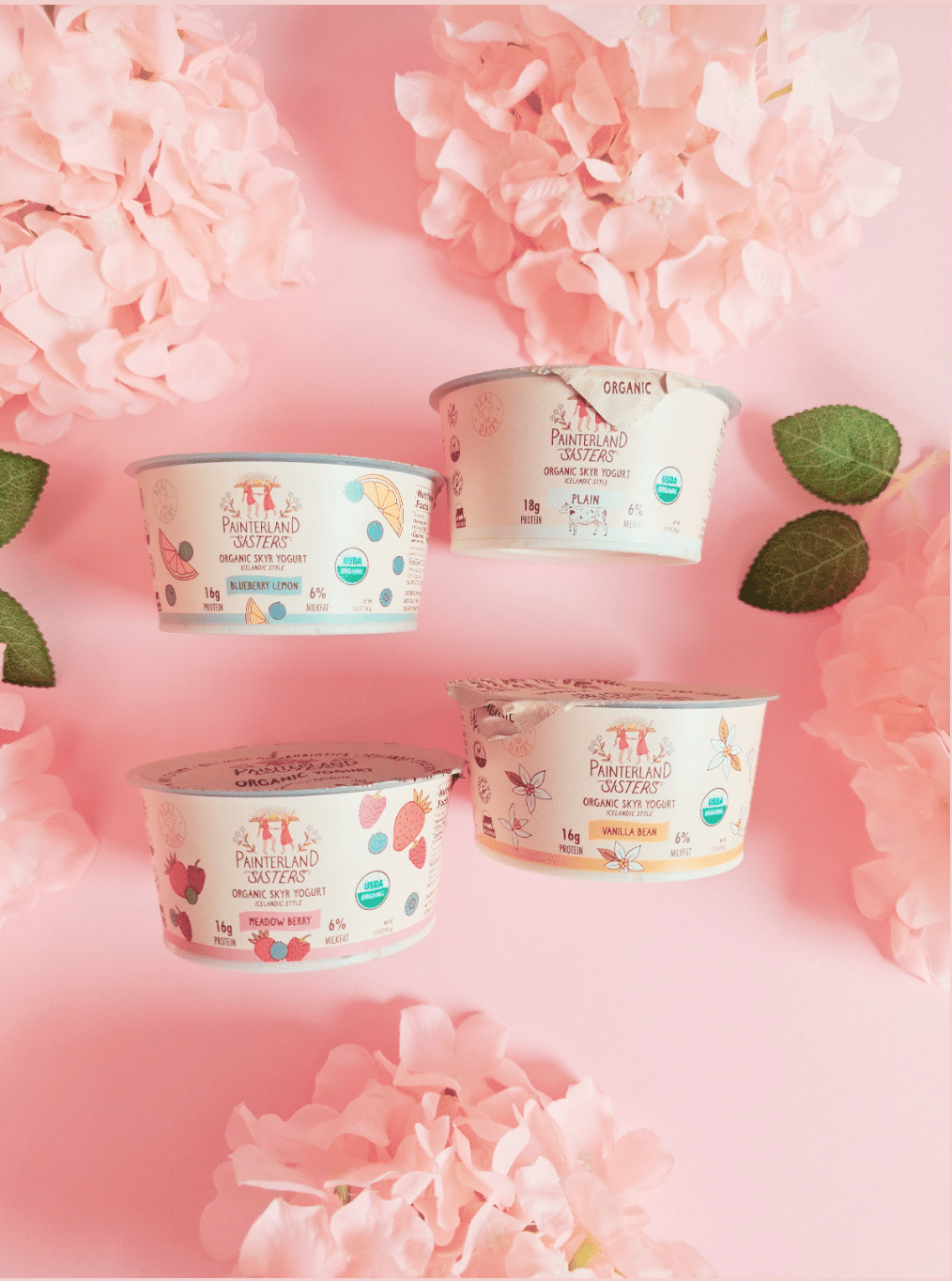 Painterland Sisters USDA Certified Organic Yogurt review and promo code