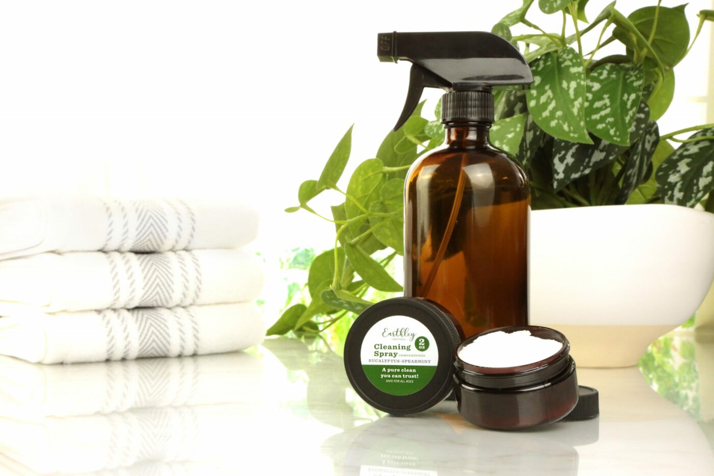 earthley Cleaning Spray Concentrate