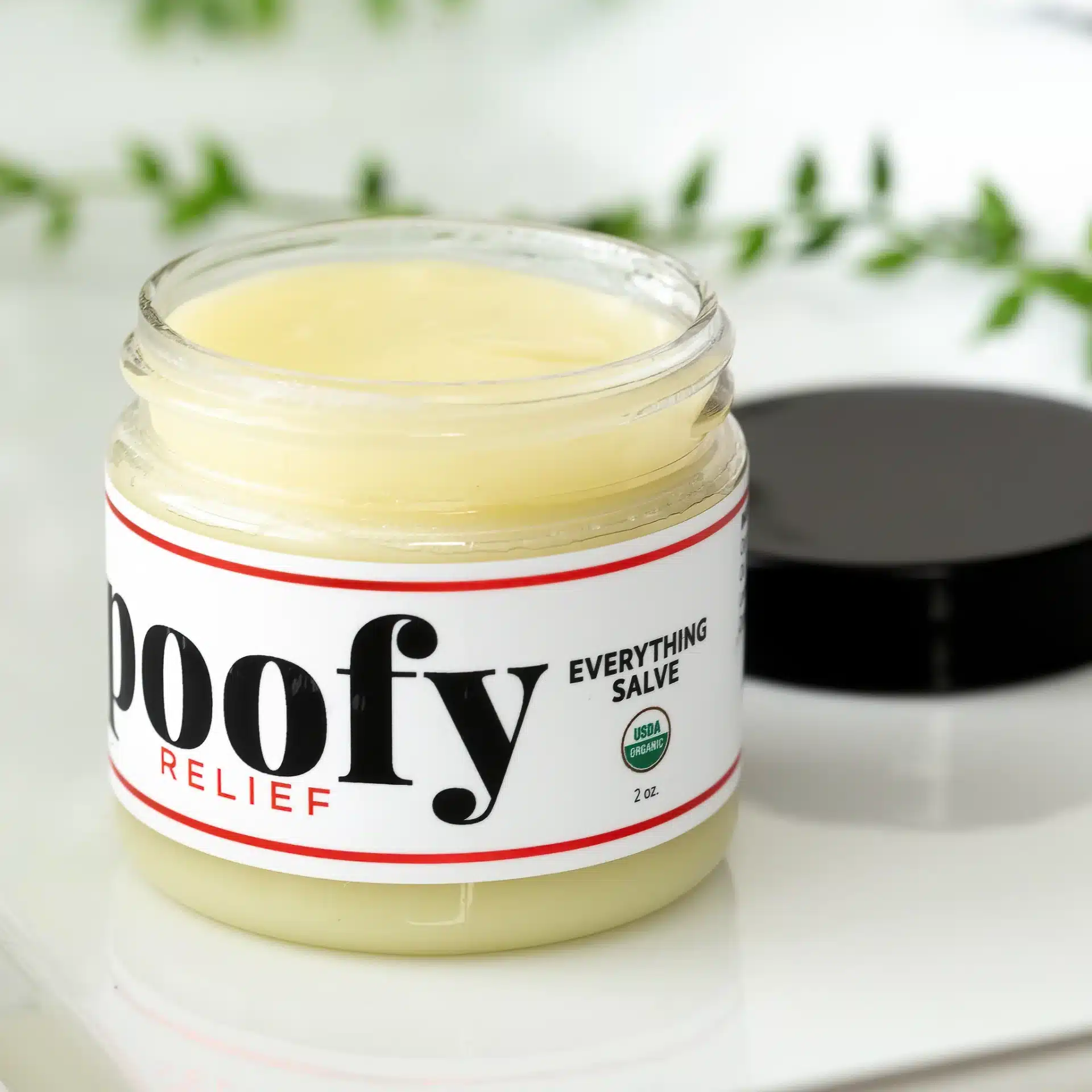 Poofy Organics Everything Salve Organic review and promo code