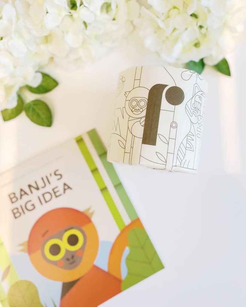 Reel Organic bamboo kids toilet paper, Reel Premium 100% bamboo toilet paper for Kids review and promo code