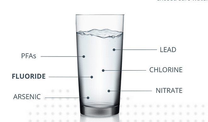 the best water filters
