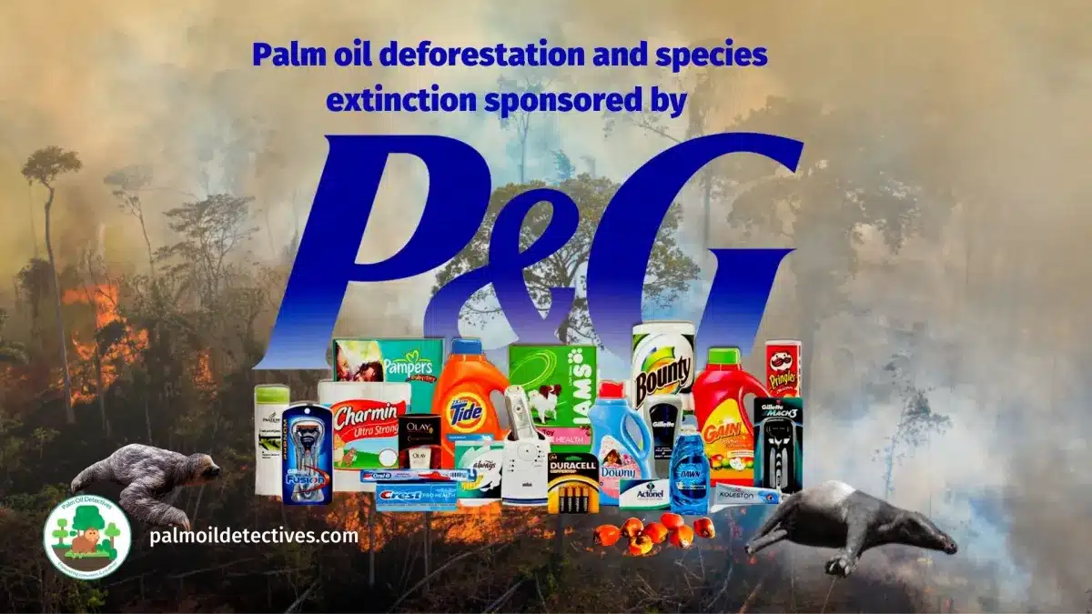 P&G palm oil