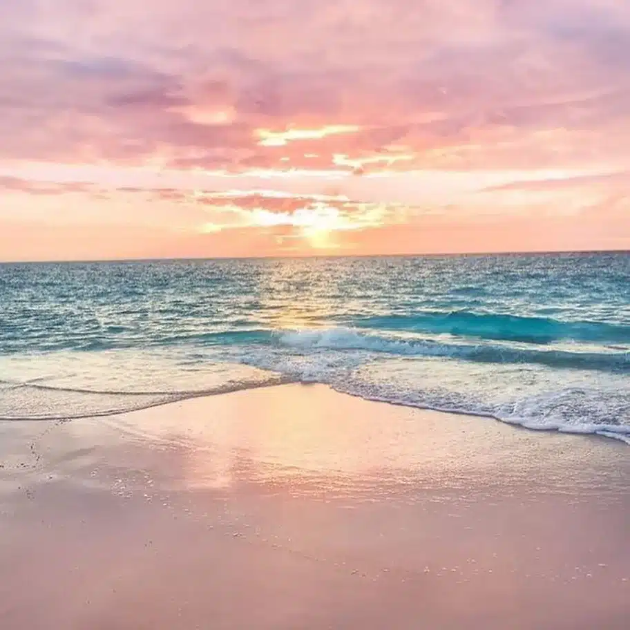 Pink Ocean sunset