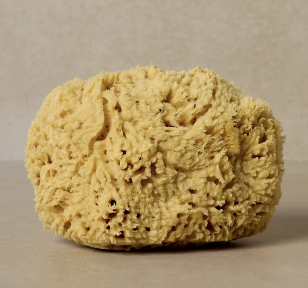 Toups & Co Natural Bath Sea Sponge