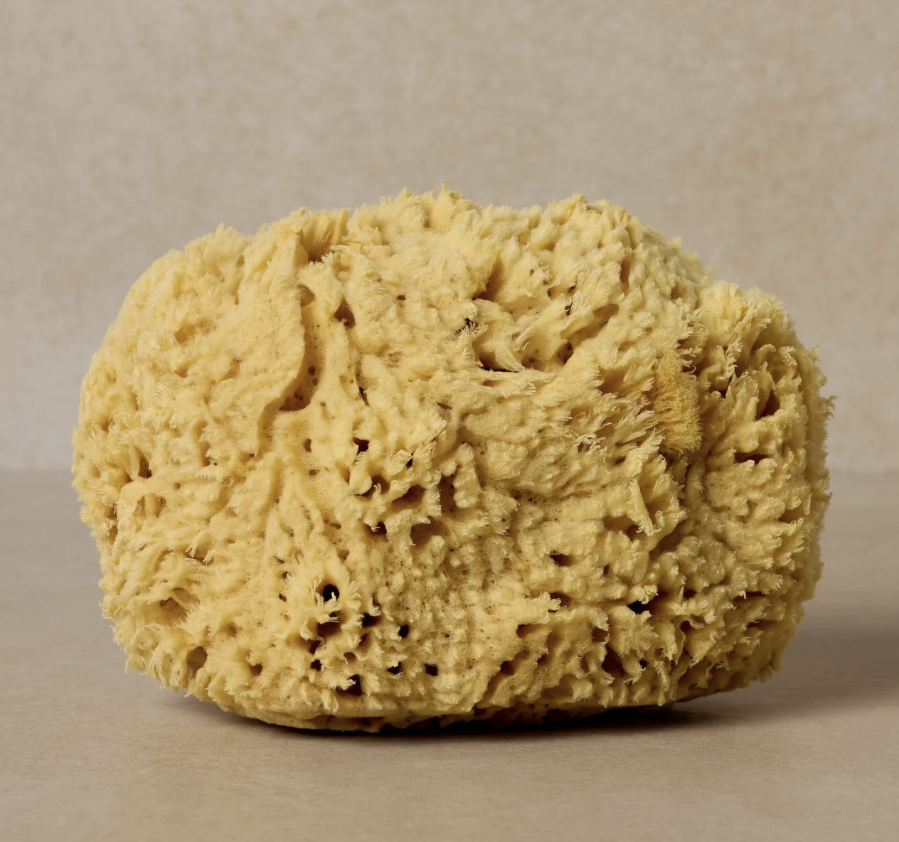 Toups & Co Natural Bath Sea Sponge