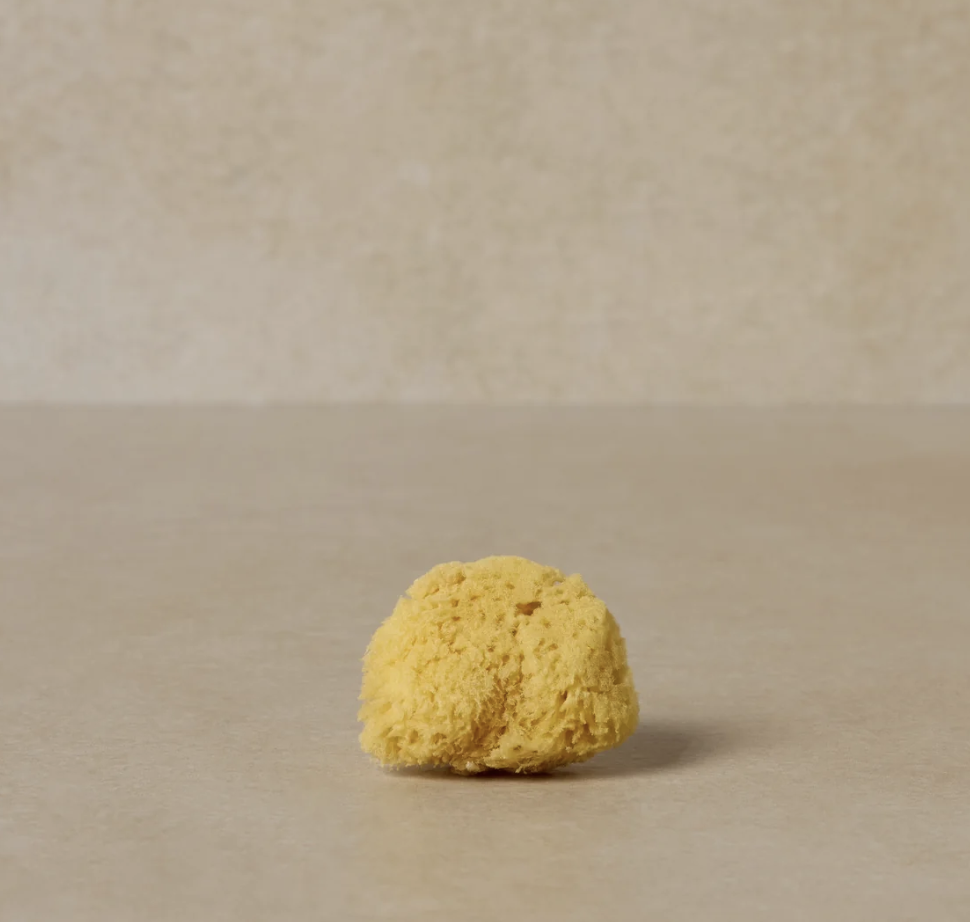 Toups &Co Organics Facial Sea Sponge