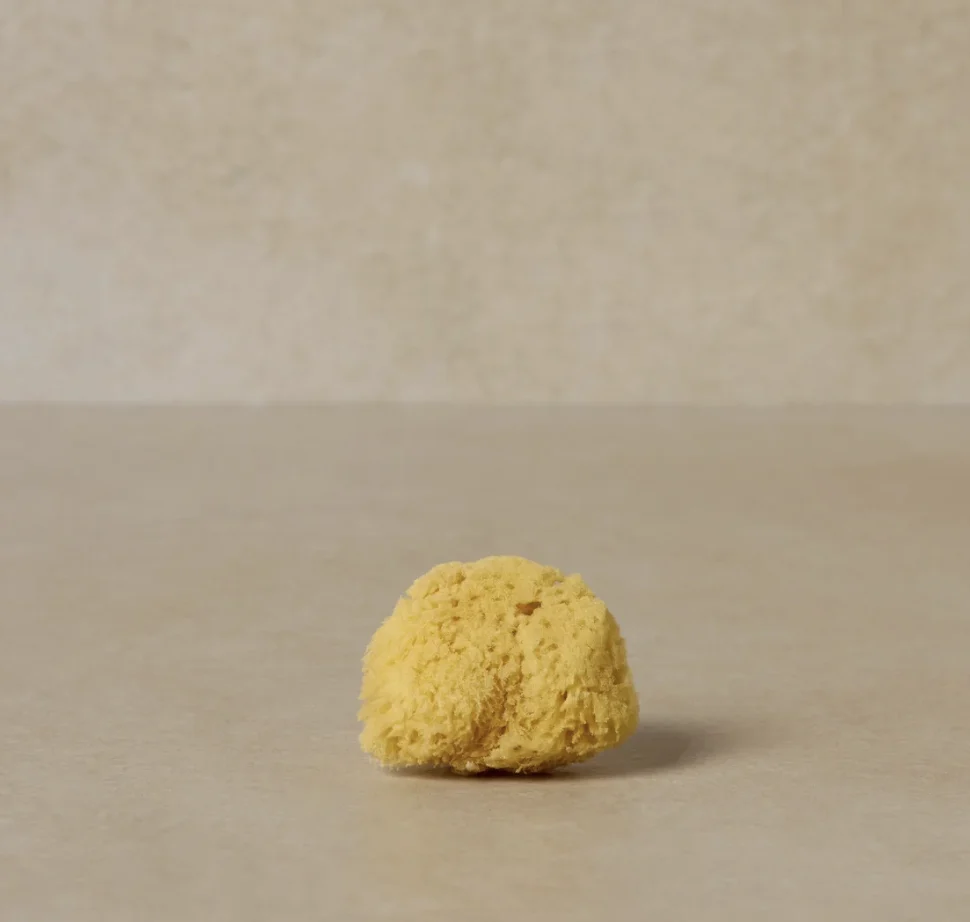 Toups &Co Organics Facial Sea Sponge