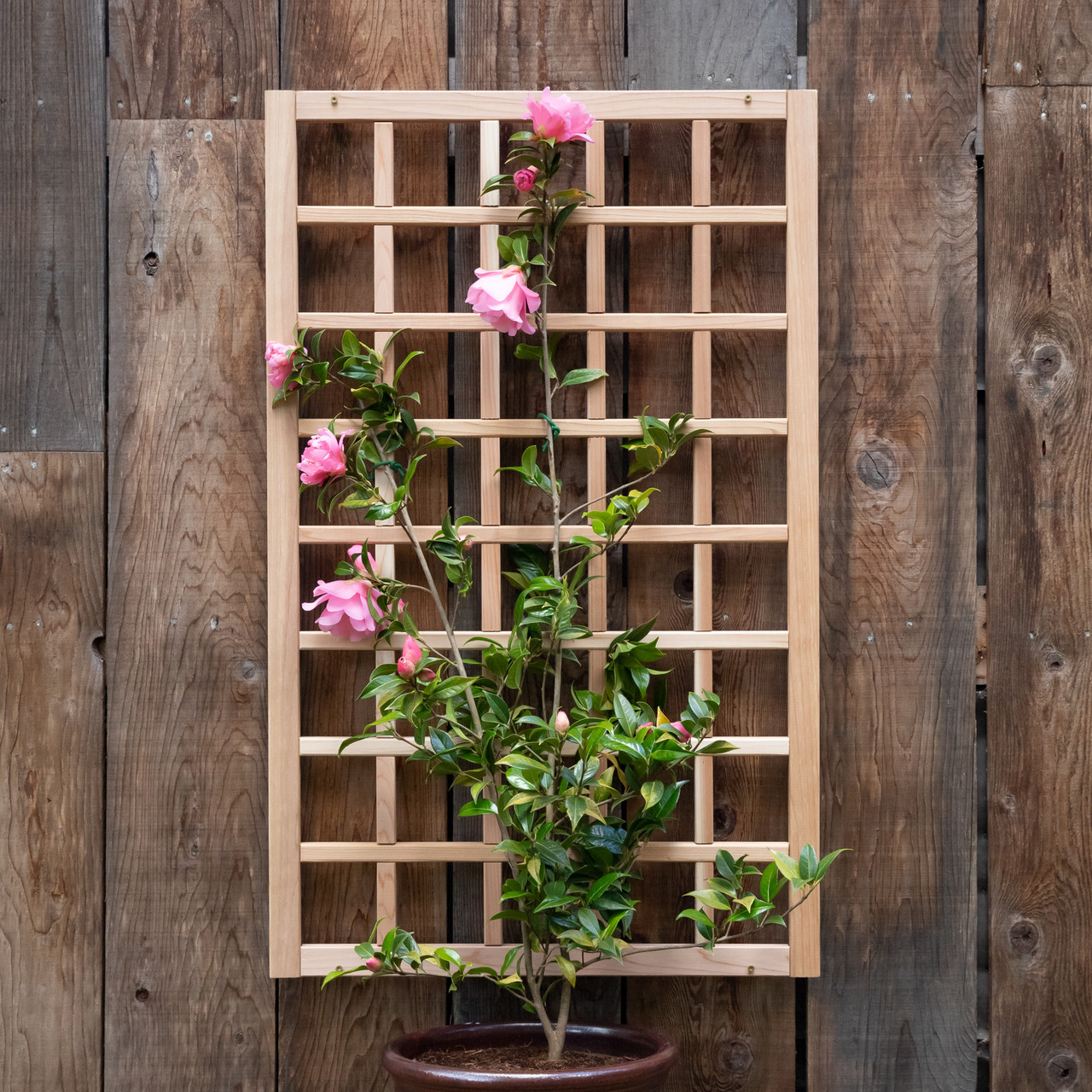 Eartheasy Natural Cedar Wall Mounted Trellises