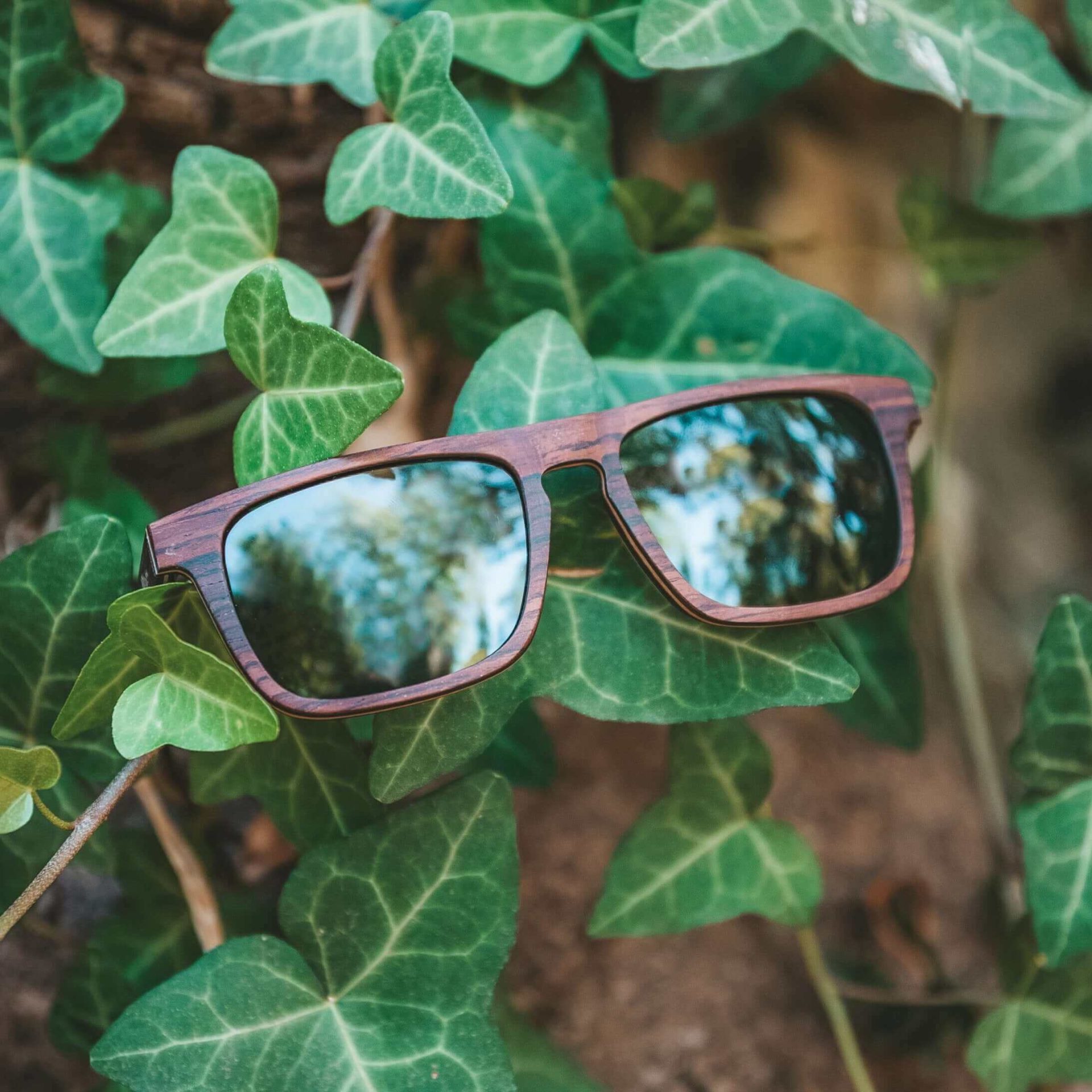 Joplins organic sunglasses for men