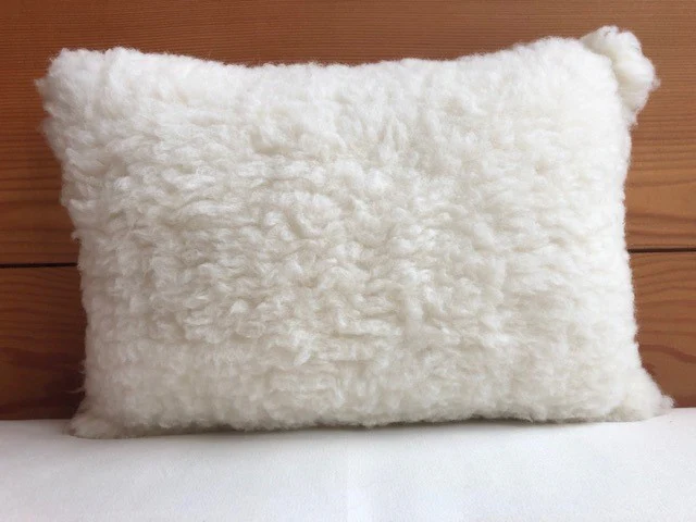 Holy Lamb Organics Child First Pillow