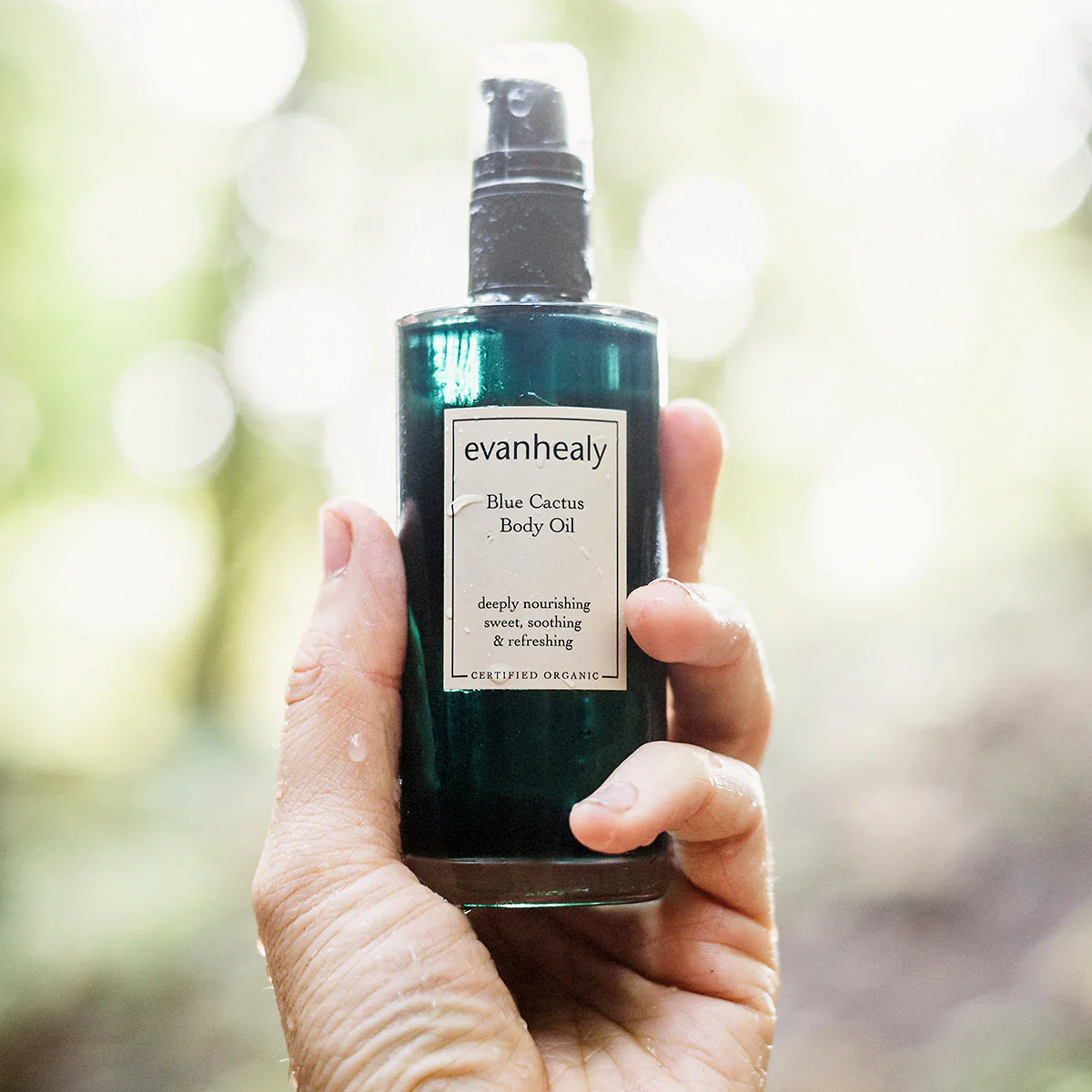 Evanhealy Blue Cactus Body Oil